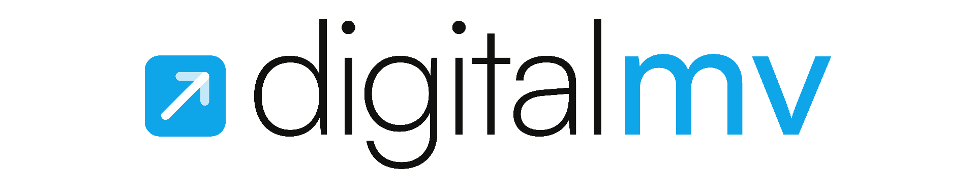 Digital MV — digital marketing agency in Maldives